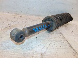 Mitsubishi Colt Rear shock absorber with coil spring MR244447