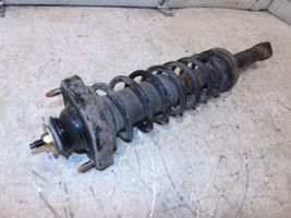 Mitsubishi Colt Rear shock absorber with coil spring MR244447