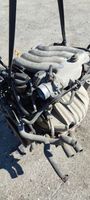 Volkswagen New Beetle Motor 06A100098CX