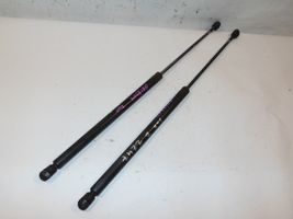 Volkswagen New Beetle Tailgate/trunk strut/damper 1C0827550E