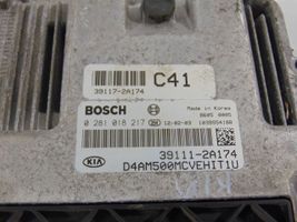 KIA Soul Sterownik / Moduł ECU 391112A174