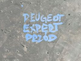 Peugeot Expert Priekšējais paklājiņš 