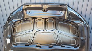 Audi A4 S4 B9 Engine bonnet/hood 74712152