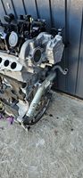 Volvo V40 Moteur D4204T8