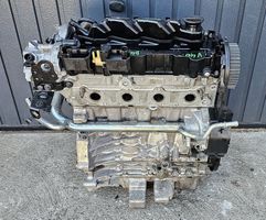 Volvo V40 Moteur D4204T8