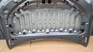 Lexus UX Vano motore/cofano 