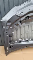 Lexus UX Vano motore/cofano 
