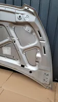 Chevrolet Spark Capó/tapa del motor 