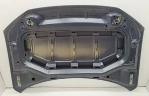 Volkswagen T-Roc Engine bonnet/hood 