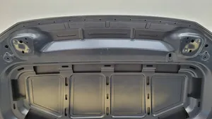 Volkswagen T-Roc Dangtis variklio (kapotas) 