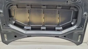 Volkswagen T-Roc Engine bonnet/hood 