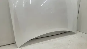 Lexus UX Engine bonnet/hood 