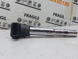 Audi A6 Allroad C6 Bobina de encendido de alto voltaje 1009050025