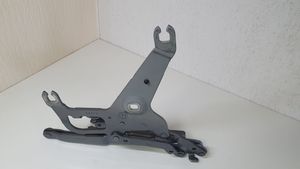 BMW X5 F15 Cerniere del vano motore/cofano 17205310