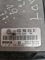 Volkswagen Caddy Moottorin ohjainlaite/moduuli 03G906016DM