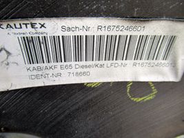 BMW 7 E65 E66 Fuel tank 2011378D