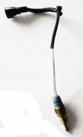 Ford Ecosport Exhaust gas temperature sensor 