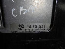 Volkswagen Tiguan Unidad de control/módulo del motor 03l906022F