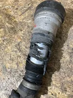 Mercedes-Benz S W220 Air suspension front shock absorber C086053