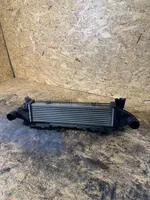 Mercedes-Benz E W212 Chłodnica powietrza doładowującego / Intercooler A2045000100