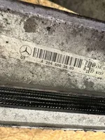 Mercedes-Benz E W212 Kit Radiateur A2045003603