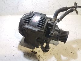 Land Rover Discovery Alternator 1002132530