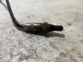 Fiat Ducato Sonde lambda 55233616