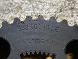 Audi A4 S4 B7 8E 8H Puleggia dell’albero a camme/VANOS 038109111E