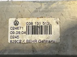 Volkswagen Sharan EGR-venttiili/lauhdutin 038131513L