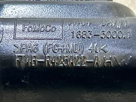 Ford Edge II Poignée extérieure de hayon arrière FT4BR42A22AA