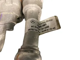 Mercedes-Benz GLE (W166 - C292) Compressore aria condizionata (A/C) (pompa) A0008303802