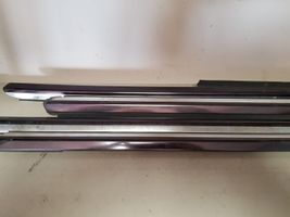 Mercedes-Benz S W220 Front door glass trim molding 