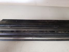 Mercedes-Benz S W220 Front door glass trim molding 