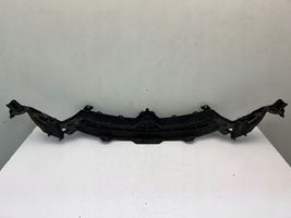 Citroen C4 II Griglia superiore del radiatore paraurti anteriore 9687946280