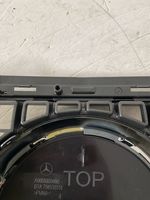 Mercedes-Benz S W223 Grille calandre supérieure de pare-chocs avant A2068883800