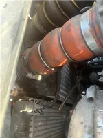 Citroen C-Elysée Chłodnica powietrza doładowującego / Intercooler 