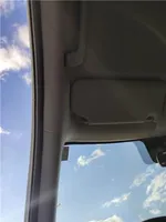 Citroen C3 Aircross Airbag da tetto 