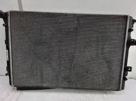 Volkswagen Tiguan Радиатор охлаждающей жидкости 5N0121253F