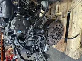 Audi A4 S4 B6 8E 8H Moteur AVF