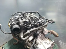 Ford Ka Engine 