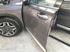 Hyundai Santa Fe Front door 