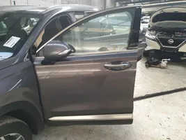 Hyundai Santa Fe Front door 