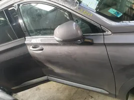 Hyundai Santa Fe Front door 