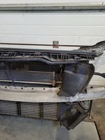 Mercedes-Benz CLS C218 X218 Radiatoru panelis (televizors) A2186200072