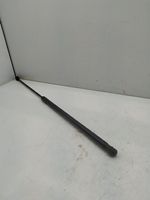 Audi A6 S6 C6 4F Front bonnet/hood damper/strut 4F0823359A