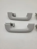 Jaguar XE Un set di maniglie per il soffitto FK7231406