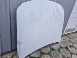 BMW 3 GT F34 Engine bonnet/hood 