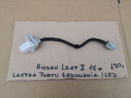 Nissan Leaf II (ZE1) Autre éclairage intérieur 