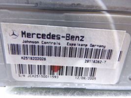 Mercedes-Benz R W251 Citu veidu instrumenti A2518202026