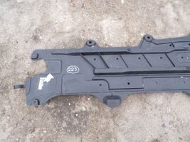 Renault Latitude (L70) Center/middle under tray cover 555280005R